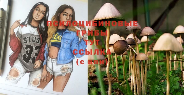 винт Алексеевка