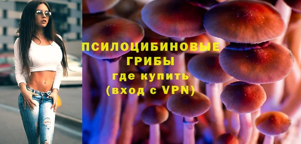 винт Алексеевка