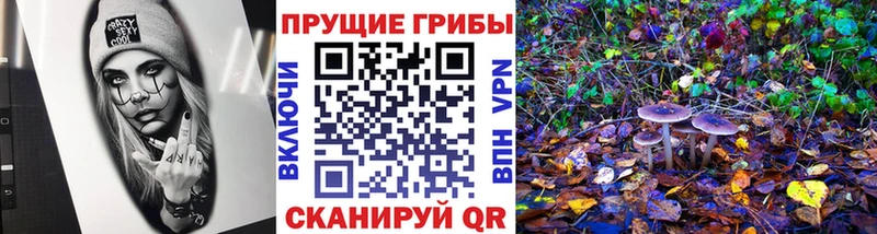 наркошоп Нефтекумск Псилоцибиновые грибы ЛСД